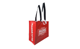 Túi Shopping Mẫu 11