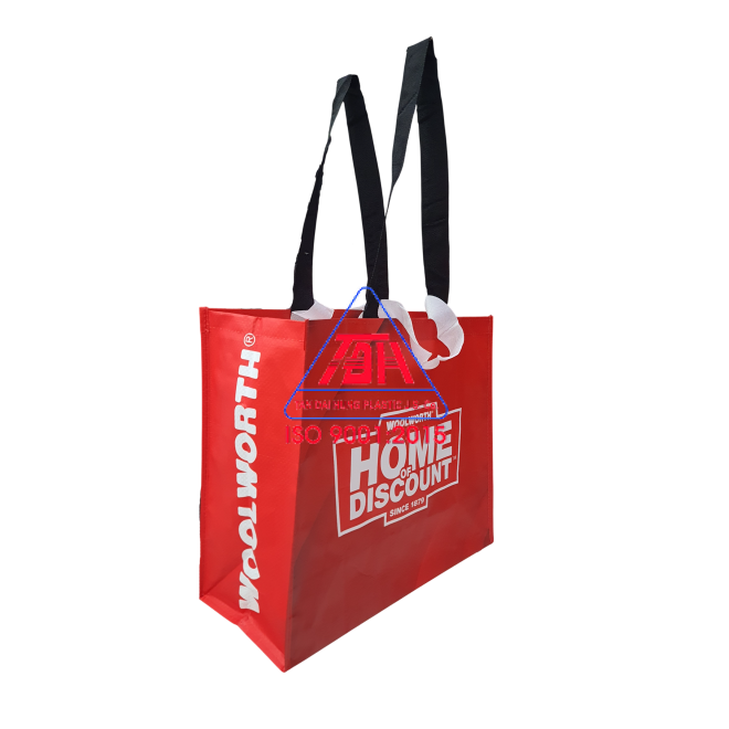 Túi Shopping Mẫu 11