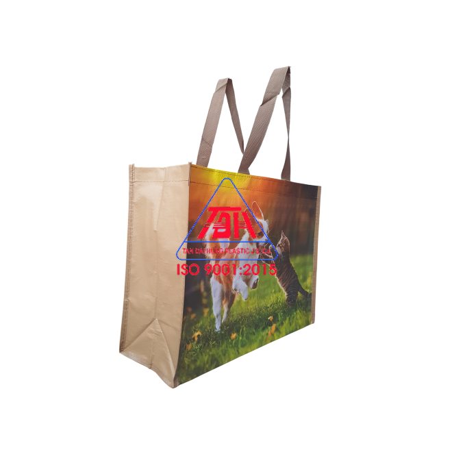 Túi Shopping Mẫu 5