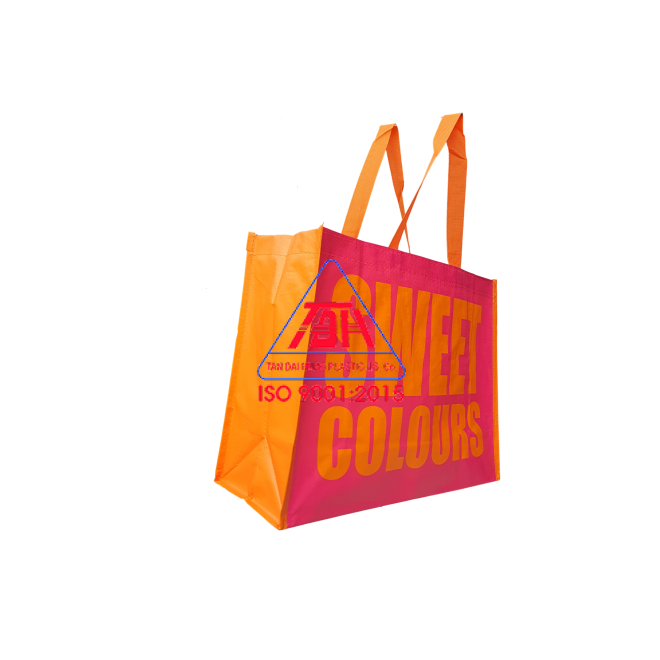 Túi Shopping Mẫu 1