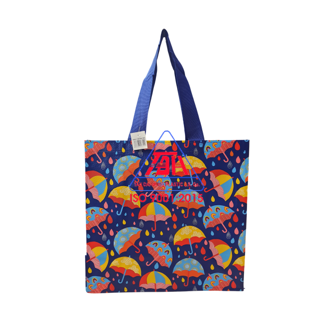 Túi Shopping Mẫu 6