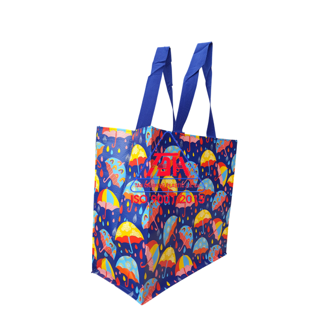 Túi Shopping Mẫu 6