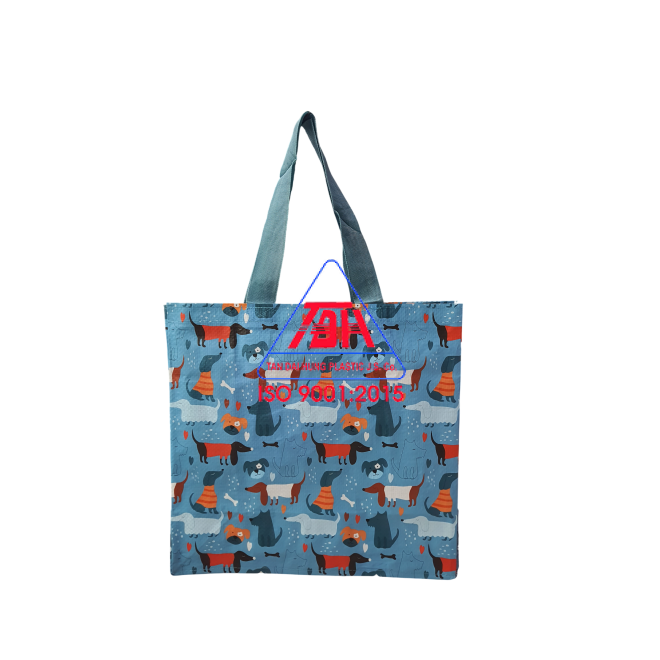 Túi Shopping Mẫu 7
